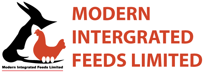 modern Integrated Feeds