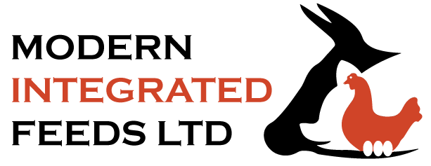 modern Integrated Feeds